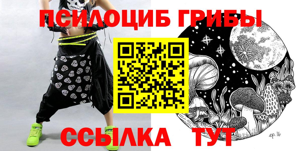 Галлюциногенные грибы Psilocybe  Вход с VPN  Дмитров 